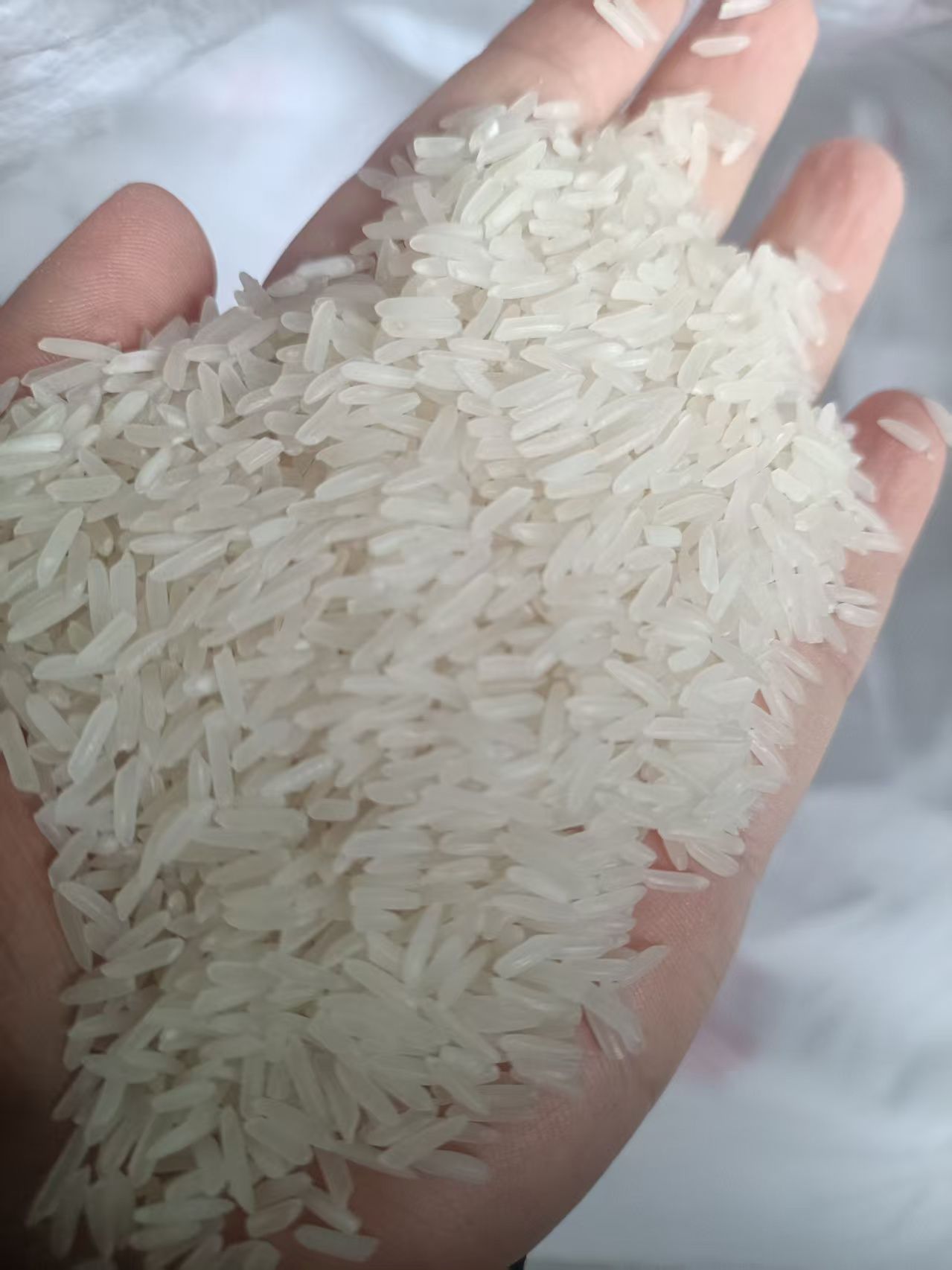 湖北大米实物